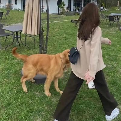 女人是老虎