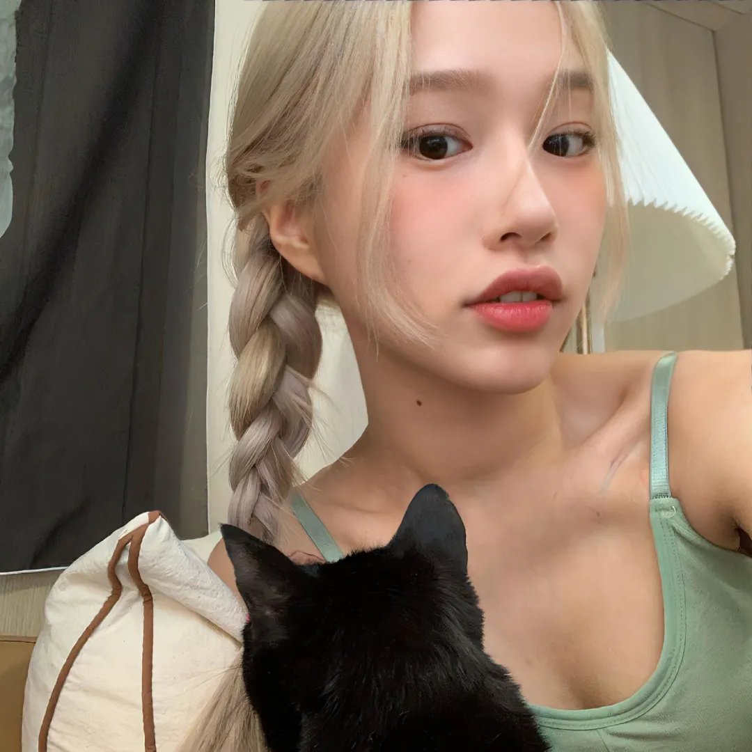 独臂拳王大破血滴子